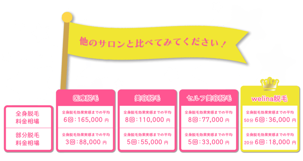 館山市の脱毛サロンならwelina都度払いで安心/メンズ脱毛なら人気No.1welinaへ